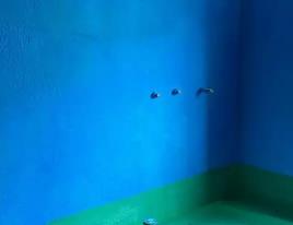 白城市卫生间测漏水多少钱